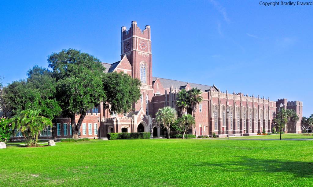 The Creative Organization