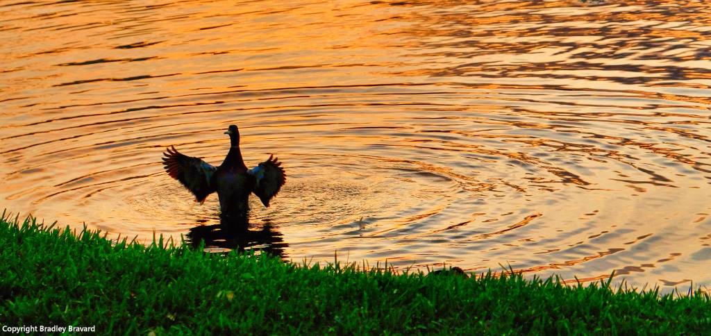 Get Out of the&nbsp;House