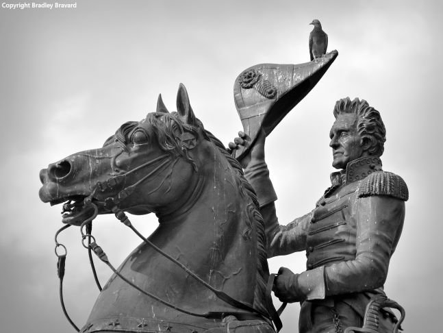 Black and white photo showing closeup of Andrew Jackson sculpture in Washington, DC