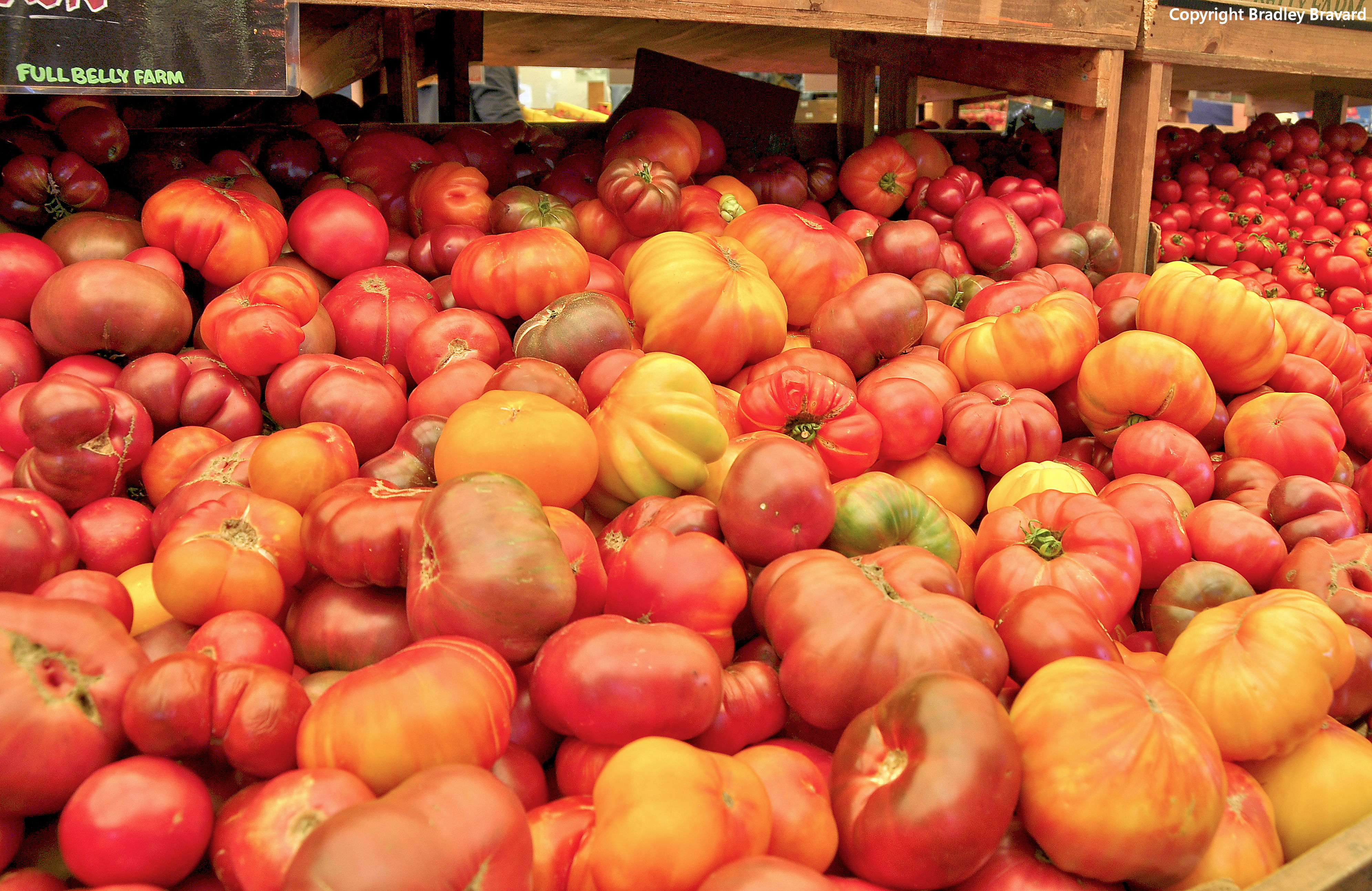 Photograph of large bin of tomatoes in produce market