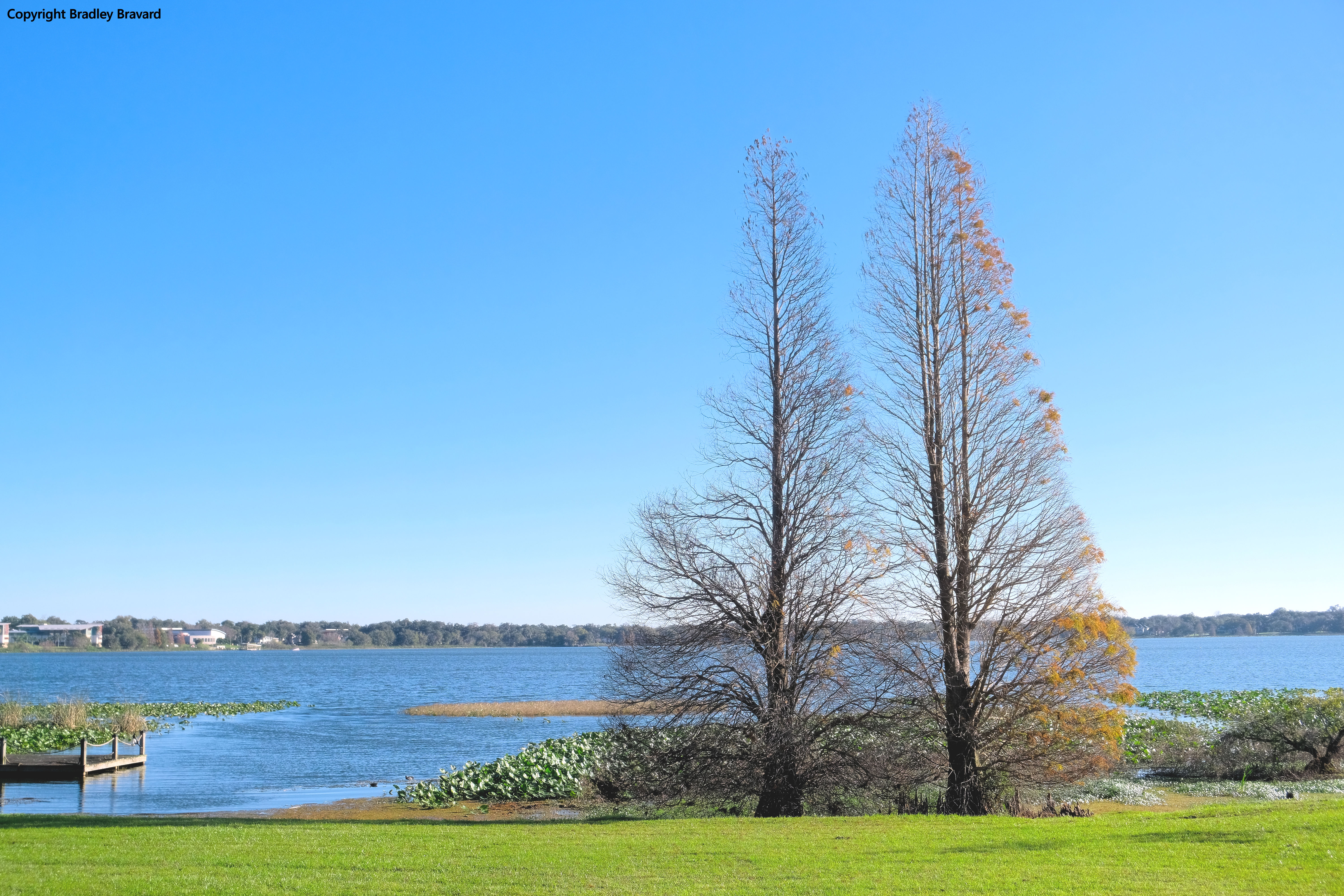A Walk by the Lake