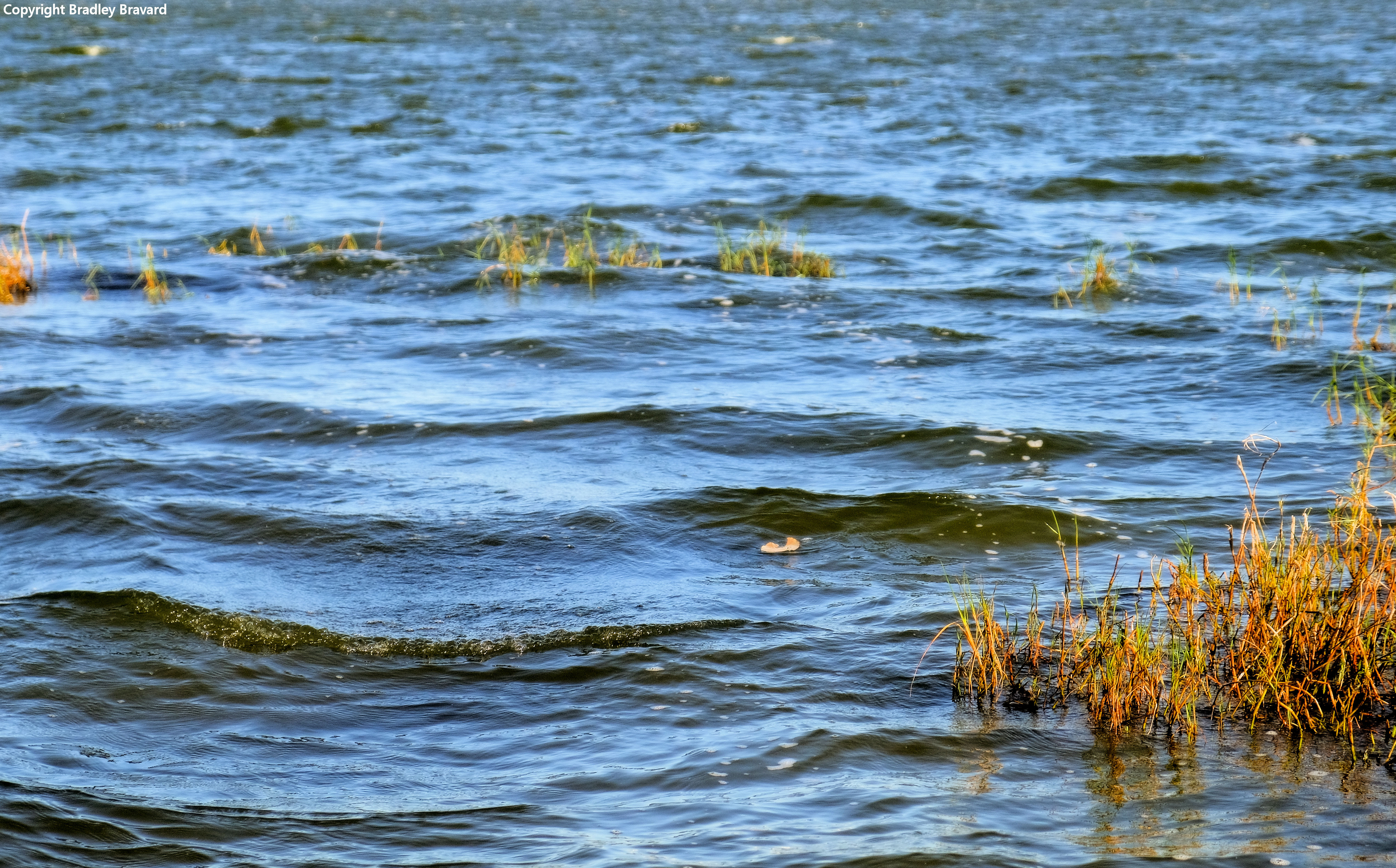Photo of choppy water on a lake
