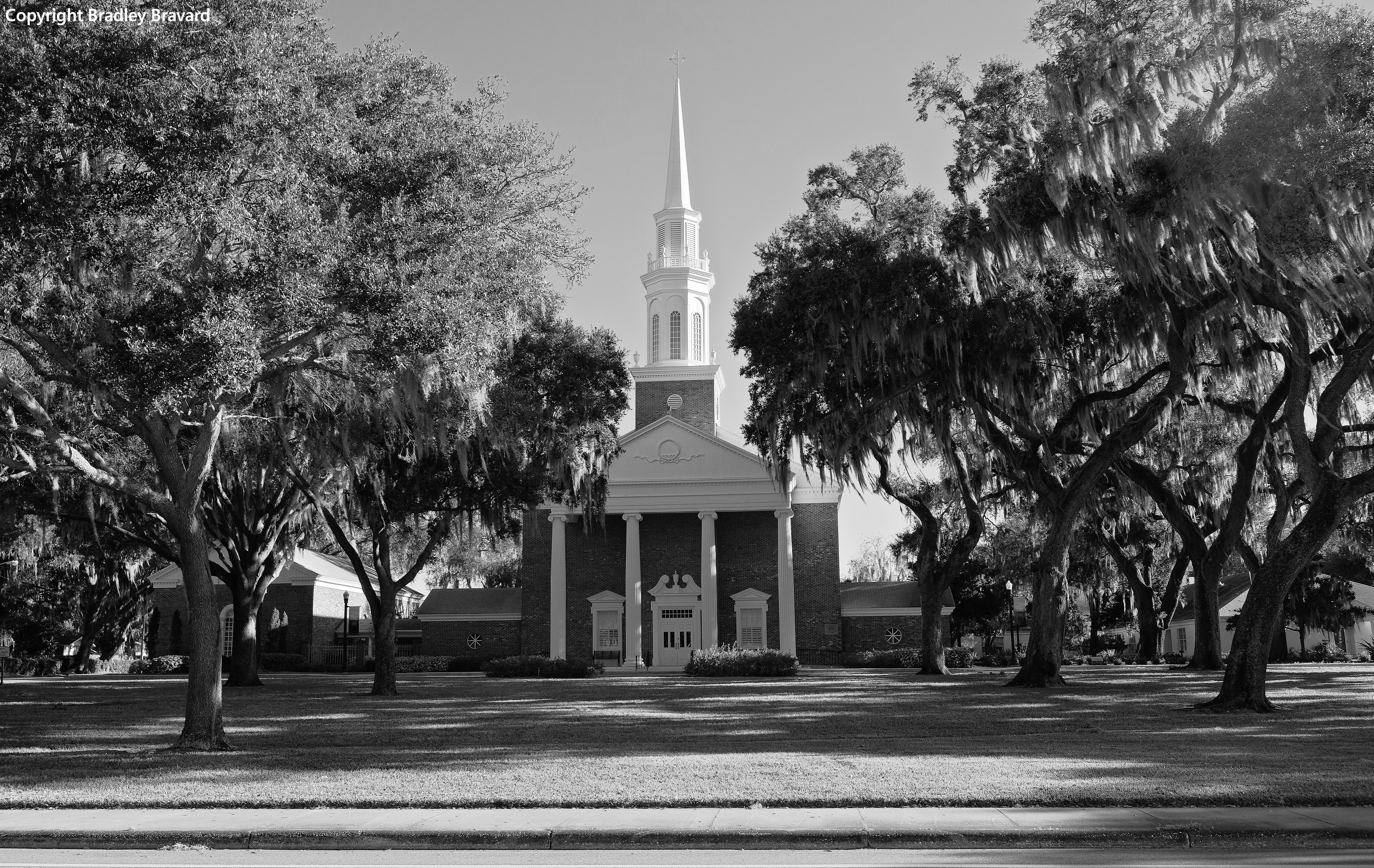Black and white photo of church with tall steeple and trees with Spanish moss on both sides of church