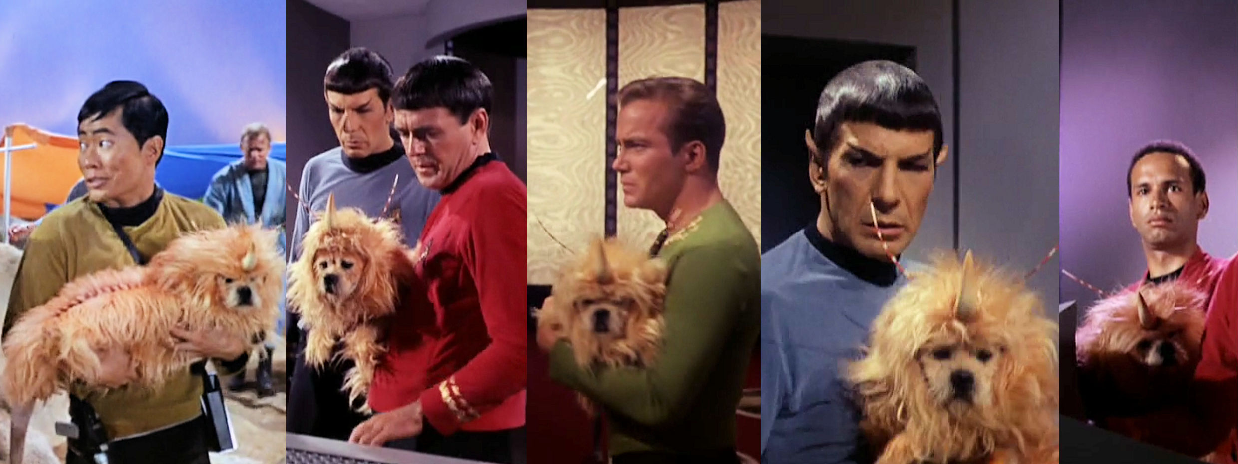 From Star Episode "The Enemy Within," images of various crew members carrying dog in unicorn costume