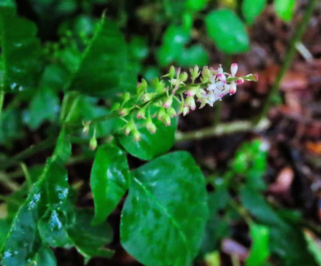 Friday Food for Thought: 23 June&nbsp;2023