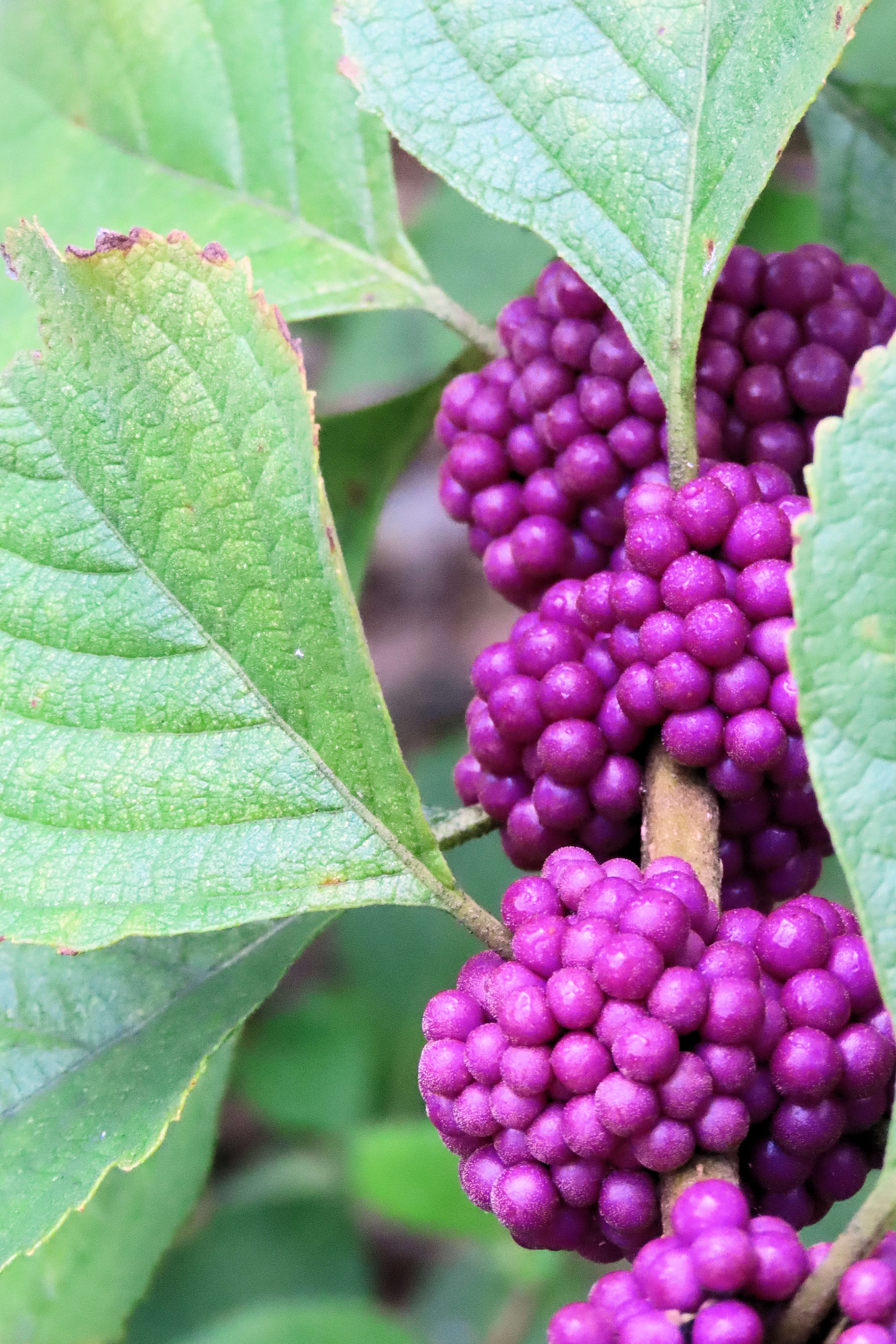Friday Food for Thought: 15 September 2023