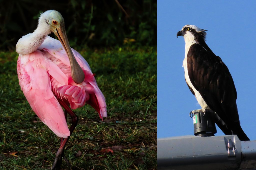 Friday Food for Thought: 11 October&nbsp;2024