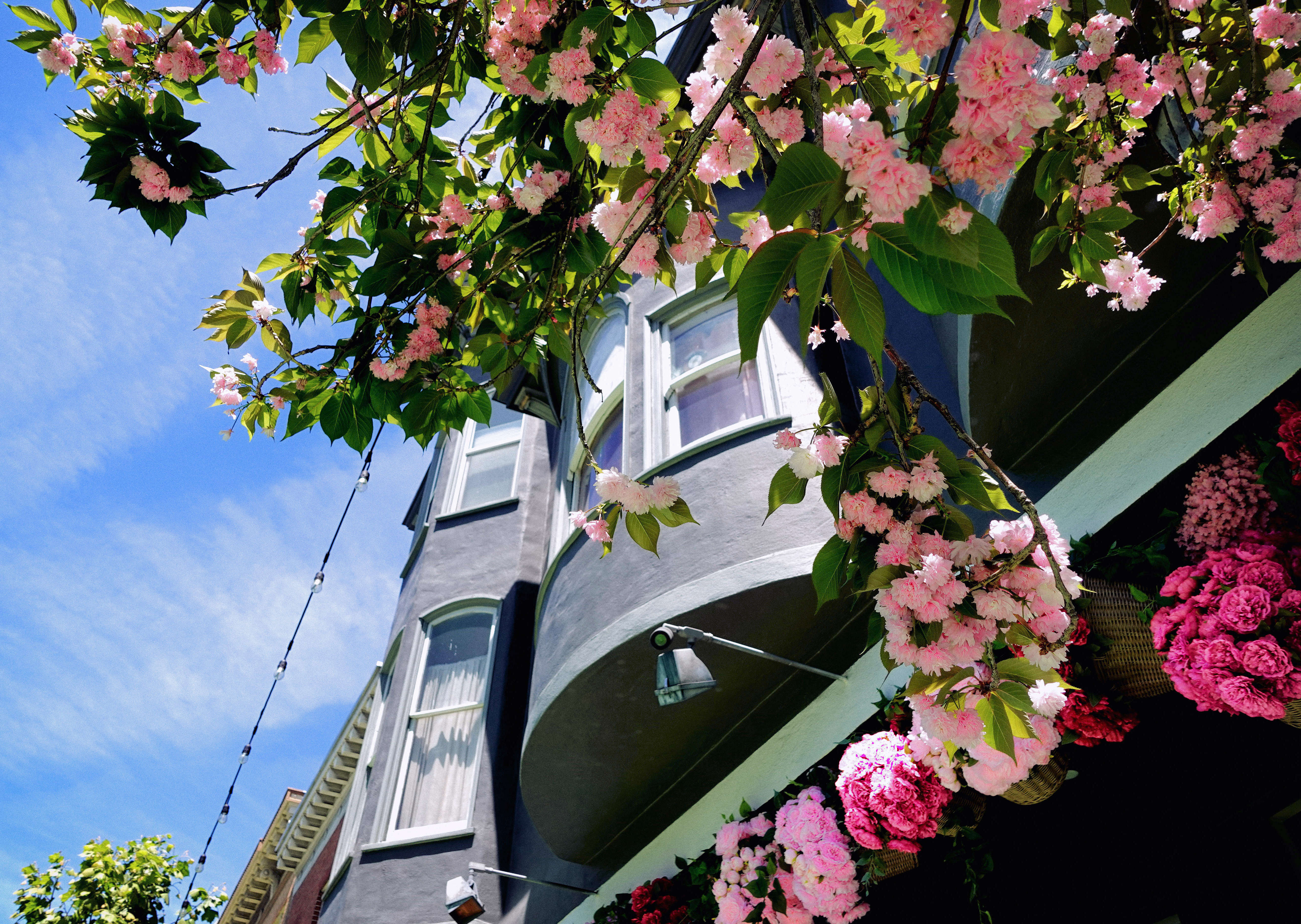 A Brief Photo Tour of San Francisco