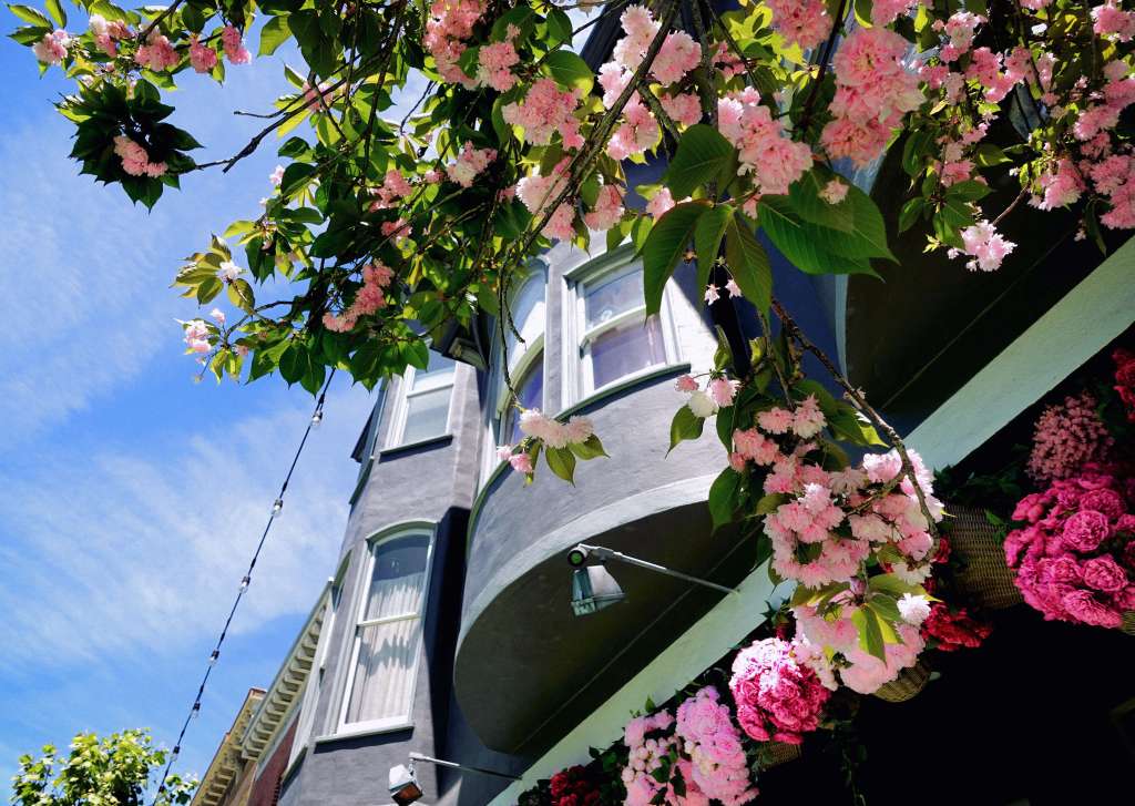 A Brief Photo Tour of San&nbsp;Francisco